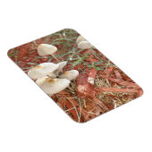 paddenstoel Fotomagneet Magneet (Rechterzijde)