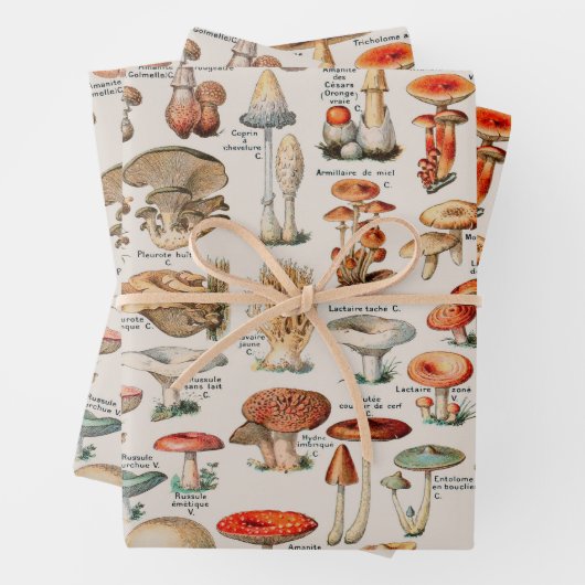 paddenstoel Fungus Illustratie I Inpakpapier Vel (In situ)