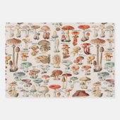 paddenstoel Fungus Illustratie I Inpakpapier Vel (Voorkant)