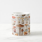 paddenstoel Fungus Illustratie I Koffiemok (Center)