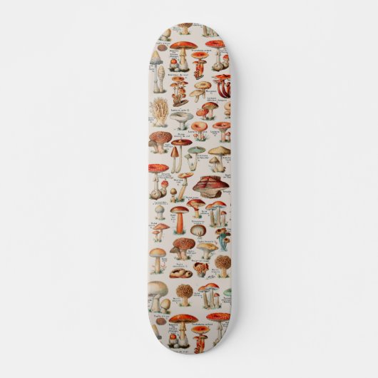  paddenstoel Fungus Illustratie I Persoonlijk Skateboard (Voorkant)