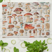 paddenstoel Fungus Illustratie I Theedoek (Gevouwen)