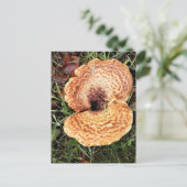 Paddenstoel in het bos briefkaart (Staand voorkant)