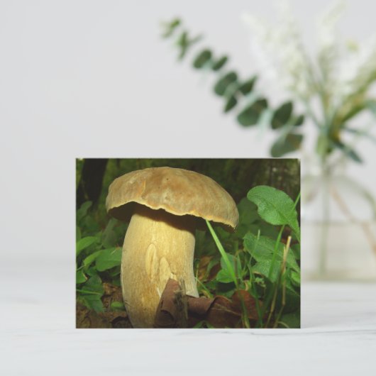Paddenstoel in het bos dicht briefkaart (Staand voorkant)