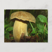 Paddenstoel in het bos dicht briefkaart (Voorkant)