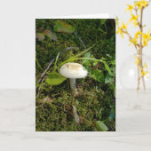 Paddenstoel in het bos kaart (Gele Bloem)
