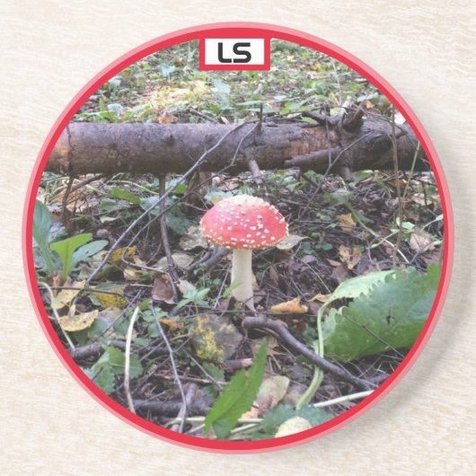 Paddenstoel in het bos LS Zandsteen Onderzetter (Voorkant)