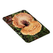 Paddenstoel in het bos magneet (Rechterzijde)