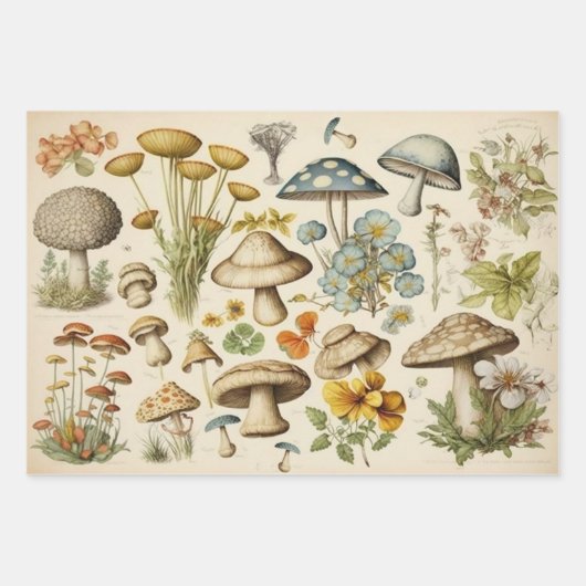  paddenstoel inpakpapier vel (Voorkant 3)