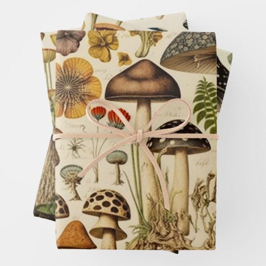 paddenstoel inpakpapier vel (In situ)