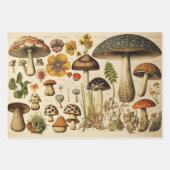  paddenstoel inpakpapier vel (Voorkant)