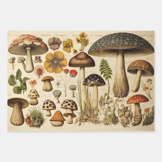  paddenstoel inpakpapier vel (Voorkant)
