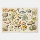 paddenstoel inpakpapier vel (Voorkant 2)