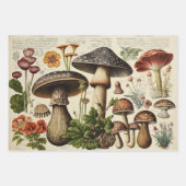 paddenstoel inpakpapier vel (Voorkant)