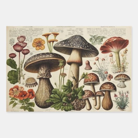  paddenstoel inpakpapier vel (Voorkant)