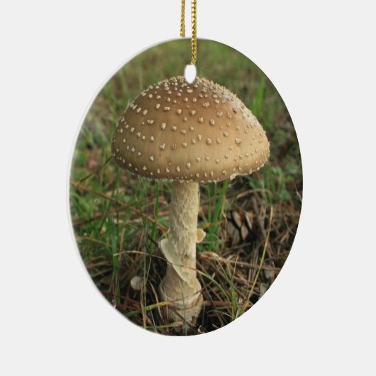 paddenstoel keramisch ornament (Rechts)