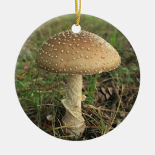 paddenstoel keramisch ornament