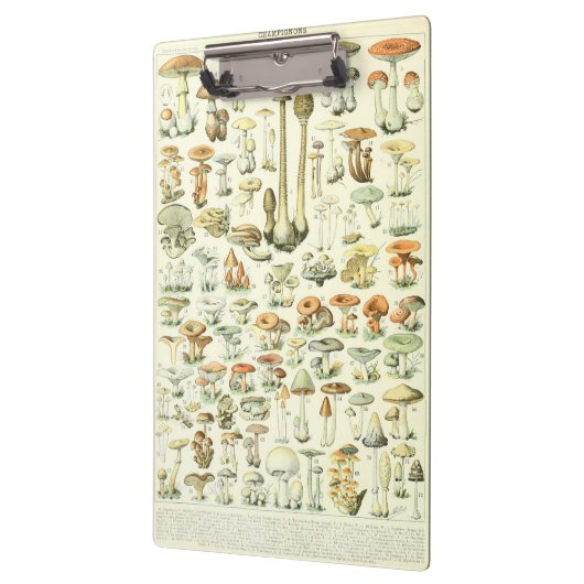 Paddenstoel Klembord (Links)