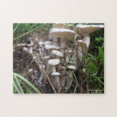 paddenstoel legpuzzel (Horizontaal)