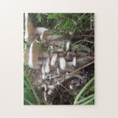paddenstoel legpuzzel (Verticaal)