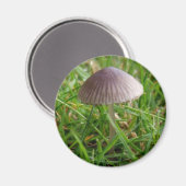 paddenstoel Magnet (Voorkant / Achterkant)