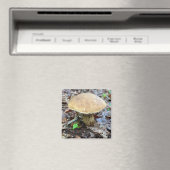 paddenstoel Magnet (Insitu (Vaatwasser))