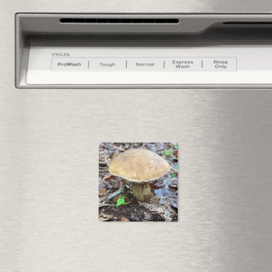 paddenstoel Magnet (Insitu (Vaatwasser))