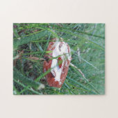 Paddenstoel Met Ochtenddauw Puzzel (Horizontaal)