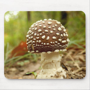 Paddenstoel Muismat Pantheramanita