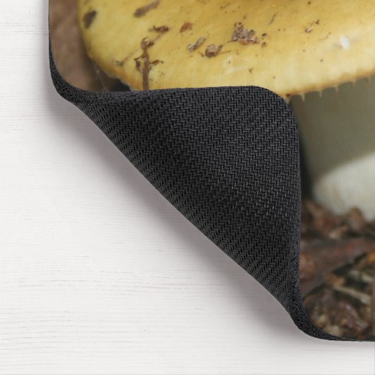 paddenstoel Muismuis Muismat (Hoek)