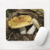 paddenstoel Muismuis Muismat (Met muis)