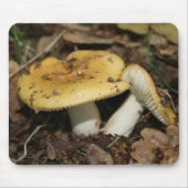 paddenstoel Muismuis Muismat (Voorkant)