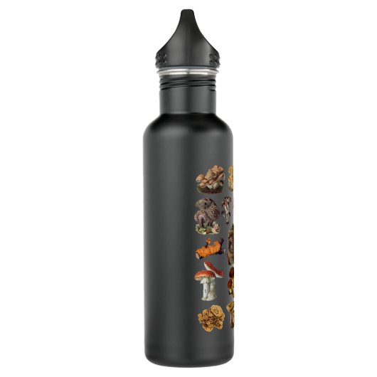 paddenstoel mycologie Fungi Foraging paddenstoel W Waterfles (Links)