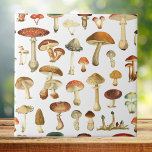 paddenstoel naadloos patroon tegeltje<br><div class="desc">Breng natuur beauty thuis met onze  Mushroom Naadloze Patroon keramische tegel. Een vleugje rustieke charme elegantie voor uw ruimte!</div>
