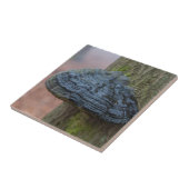 Paddenstoel op een boomstam in het bos tegeltje (Zijkant)