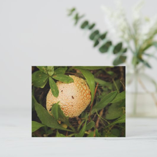 Paddenstoel op een bosvloer briefkaart (Staand voorkant)