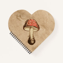 Paddenstoel op een oud papier