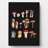 Paddenstoel Picker Life Fotoplaat (voorkant)