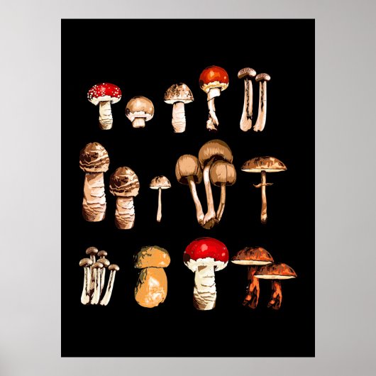 Paddenstoel Picker Life Poster (Voorkant)