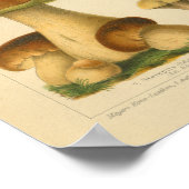 paddenstoel Pilze Variëteit Geel Bruin Afdruk Poster (Hoek)