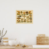 paddenstoel Pilze Variëteit Geel Bruin Afdruk Poster (Keuken)