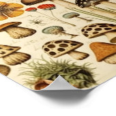  paddenstoel poster (Hoek)