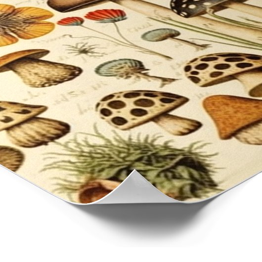  paddenstoel poster (Hoek)