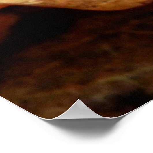 Paddenstoel Poster (Hoek)