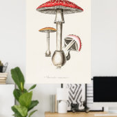 paddenstoel poster (Thuiskantoor)