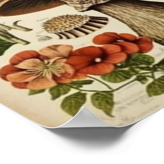  paddenstoel poster (Hoek)