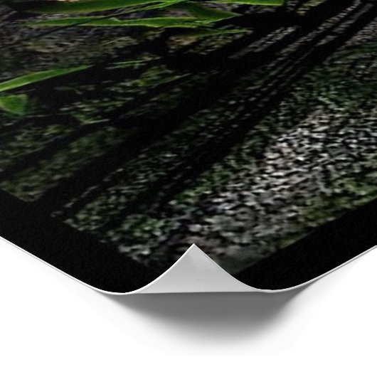 Paddenstoel Poster (Hoek)