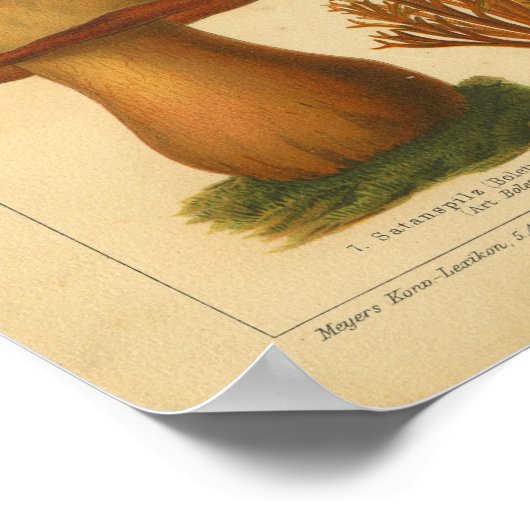  paddenstoel proefvariëteit Rode groene afdrukken Poster (Hoek)