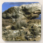 paddenstoel Rock Bier Onderzetter (Voorkant)