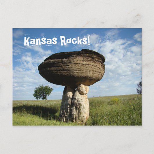 paddenstoel Rock Briefkaart (Voorkant)